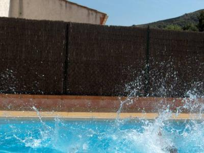 plongeon